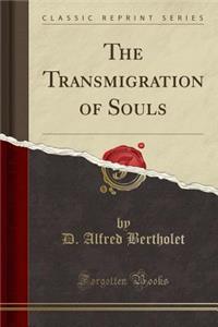 The Transmigration of Souls (Classic Reprint)