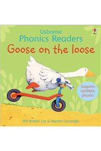 Goose On The Loose Phonics Reader