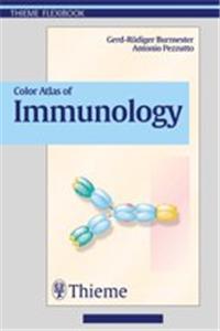 Color Atlas of Immunology