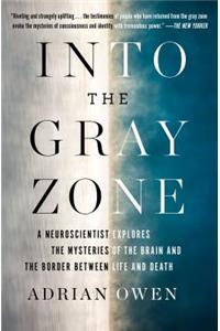 Into the Gray Zone