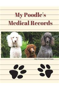 My Poodle's Medical Records