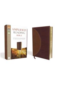 Amplified Reading Bible, Imitation Leather, Brown