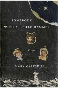 Somebody with a Little Hammer: Essays