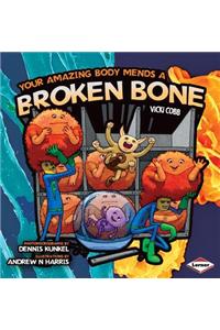 Your Amazing Body Mends a Broken Bone