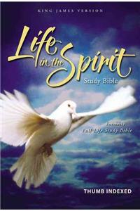 Life in the Spirit Study Bible-KJV