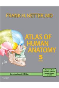 Atlas Of Human Anatomy,IE,