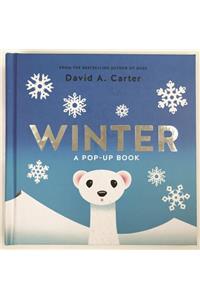 Winter: A Pop-up Book