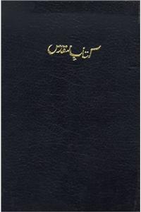 Urdu Bible