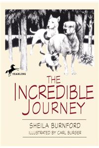 Incredible Journey