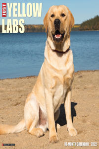 Just Yellow Labs 2022 Wall Calendar (Labrador Retriever Dog Breed)