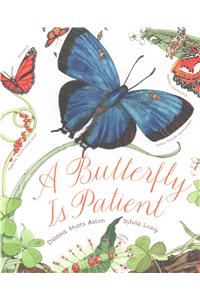 A Butterfly Is Patient