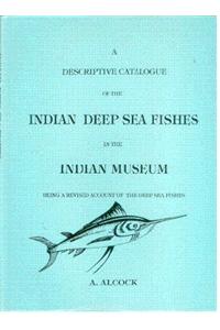 Descriptive Catalogue of Indian Deep Sea Fishes in the Indian Muscem