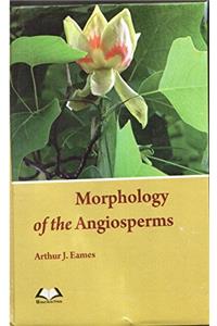 Morphology of the Angiosperms