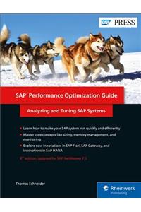 SAP Performance Optimization Guide