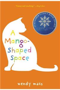 Mango-Shaped Space