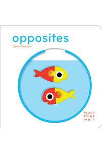 Touchthinklearn: Opposites