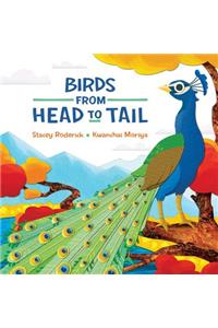 Birds from Head to Tail