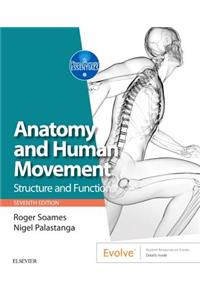 Anatomy and Human Movement