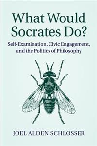 What Would Socrates Do?: Self-Examination, Civic Engagement, and the Politics of Philosophy