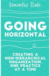 Going Horizontal: Creating a Non-Hierarchical Organization, One Practice at a Time