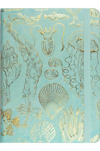 Sealife Sketches Journal