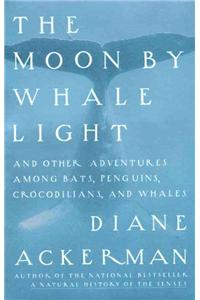 Moon by Whale Light