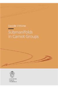 Submanifolds in Carnot Groups