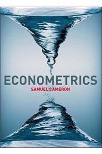 Econometrics with Online Learning Centre