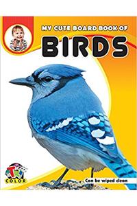 My Cute Board Book of Birds