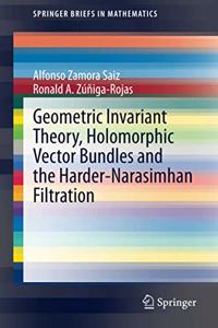 Geometric Invariant Theory, Holomorphic Vector Bundles and the Harder-Narasimhan Filtration