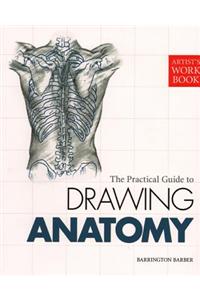 Artist's Workbook: The Practical Guide to Drawing Anatomy