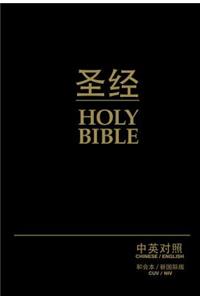 Chinese/English Bible-PR-FL/NIV