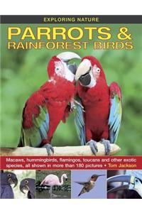 Exploring Nature: Parrots & Rainforest Birds: Macaws, Hummingbirds, Flamingos, Toucans and Other Exotic Species, All Shown in More Than 180 Pictures