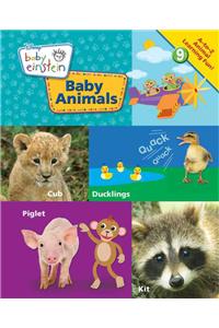 Baby Animals