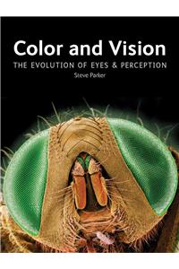 Color and Vision: The Evolution of Eyes and Perception