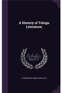 History of Telugu Literature;