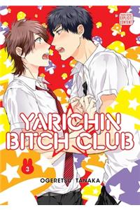 Yarichin Bitch Club, Vol. 3: Volume 3