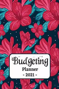 Budgeting Planner 2021: One Year Financial Planner and Bill Payments, Monthly & Weekly Expense Tracker, Savings and Bill Organizer Journal Notebook