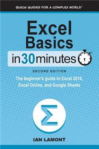 Excel Basics In 30 Minutes (2nd Edition)