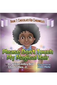 Please Don't Touch My Magical Hair (Chocolate Kid Chronicles Book 1)