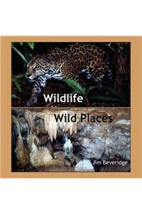 Wildlife-Wild Places