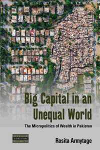 Big Capital in an Unequal World