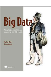 Big Data:Principles and best practices of scalable realtime data systems: Principles and Best Practices of Scalable Realtime Data Systems