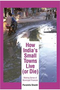 How India's Small Towns Live (Or Die)