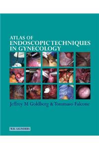 Atlas of Endoscopic Techniques in Gynecology