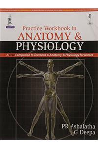 Practice Workbook in Anatomy and Physiology