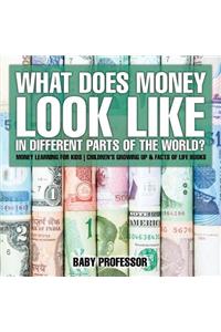 What Does Money Look Like In Different Parts of the World? - Money Learning for Kids Children's Growing Up & Facts of Life Books