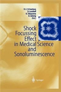 Shock Focussing Effect in Medical Science and Sonoluminescence