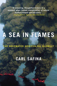 Sea in Flames: The Deepwater Horizon Oil Blowout