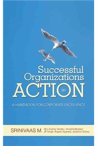 Successful Organizations in Action